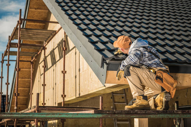 Best Storm Damage Roof Repair  in Royal Palm Estates, FL