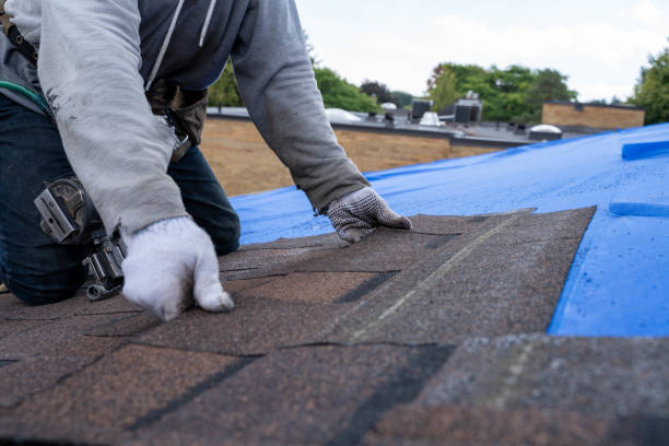 Gutter Installation and Roofing in Royal Palm Estates, FL