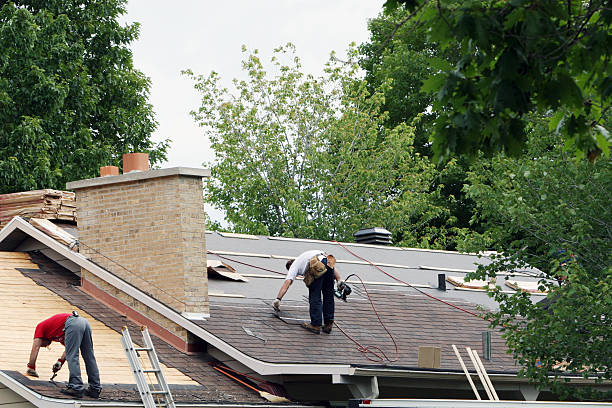Best New Roof Installation  in Royal Palm Estates, FL