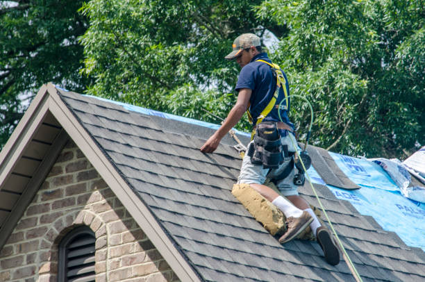 Best New Roof Installation  in Royal Palm Estates, FL